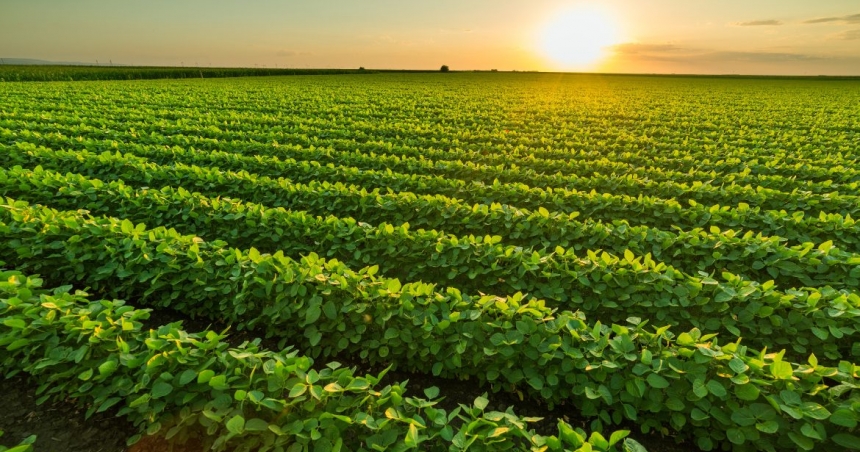 11_agricultura-de-precision-1170x731.jpg