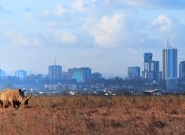 22_nairobi-national-park-2.jpg